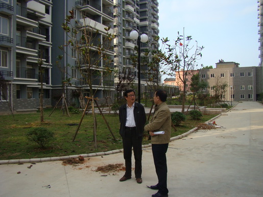 董事長(cháng)調研城區老舊小區管道燃氣配套工作